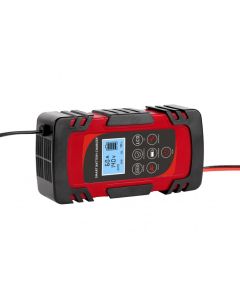 Caricabatterie per batterie AGM AC220V 50Hz DC 12V (4A/6A/8A) 24V (4A)