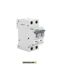 Interruttore Automatico Magnetotermico 16A 2P per Corrente Alternata