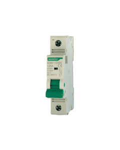Interruttore Magnetotermico SUNTREE 125A 250V 6kA 1 Polo Categoria 2